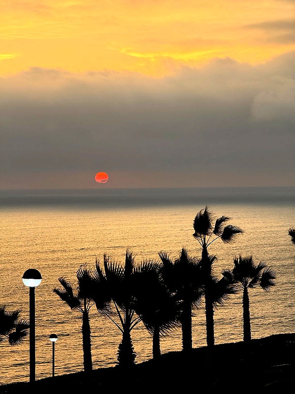 solzarubin_ instagram image archive image