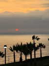 solzarubin_ Altpins Profile Picture