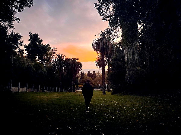 alexandradaddario instagram image archive image