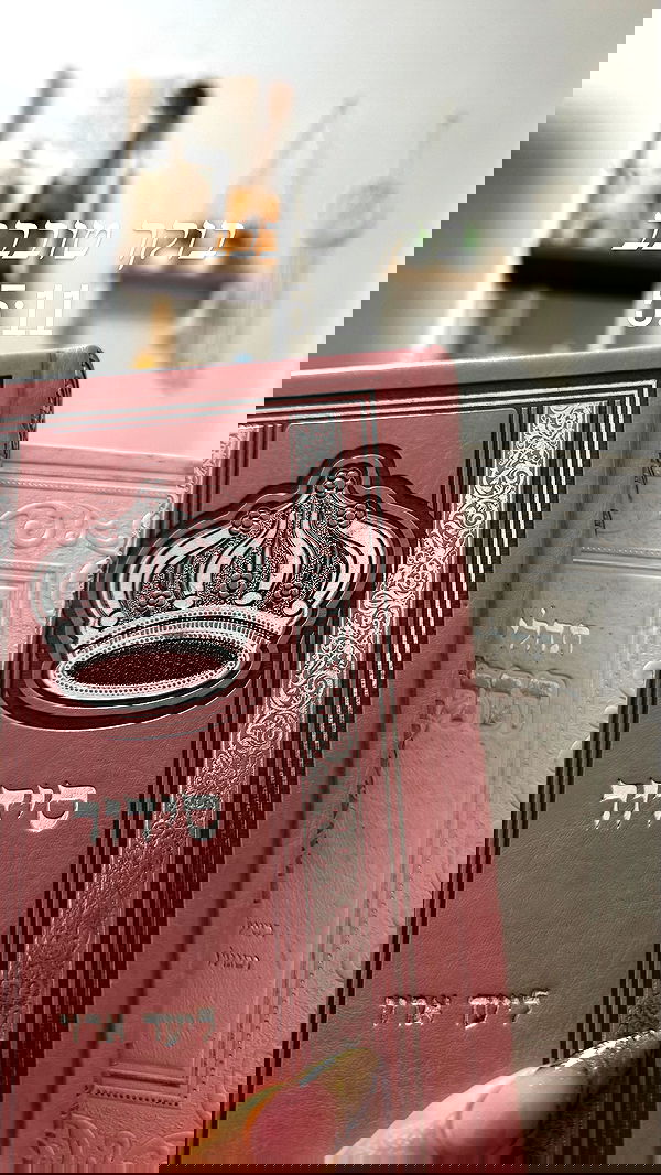 liad.arazi liad.arazi archive image