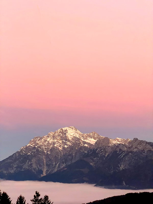 zoeliss instagram image archive image