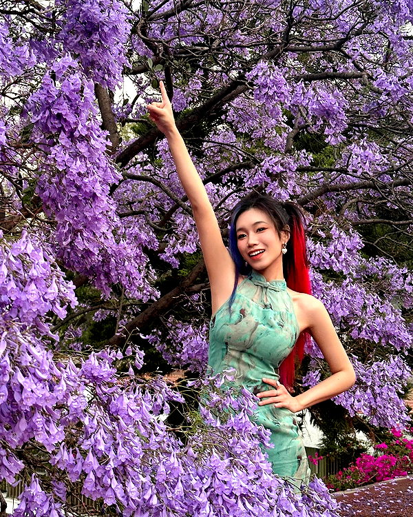 shulunc instagram image archive image
