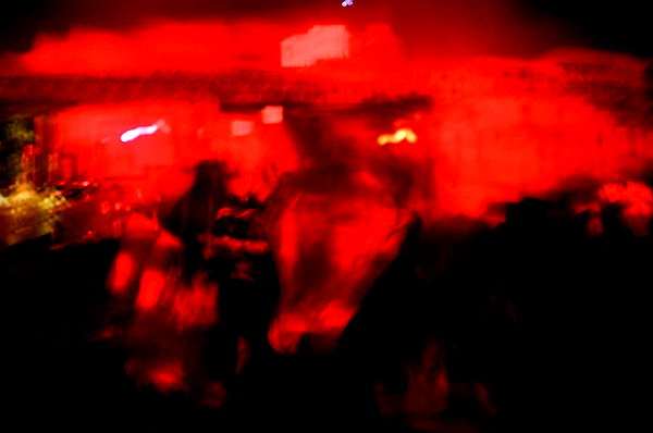 bugz4brainz instagram image archive image