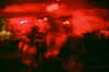 bugz4brainz Altpins Profile Picture