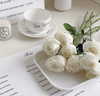 lai_931201 Altpins Profile Picture
