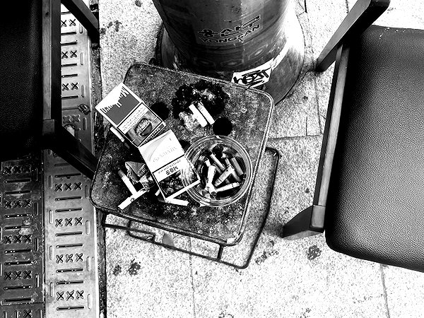 elia.shinar instagram image archive image