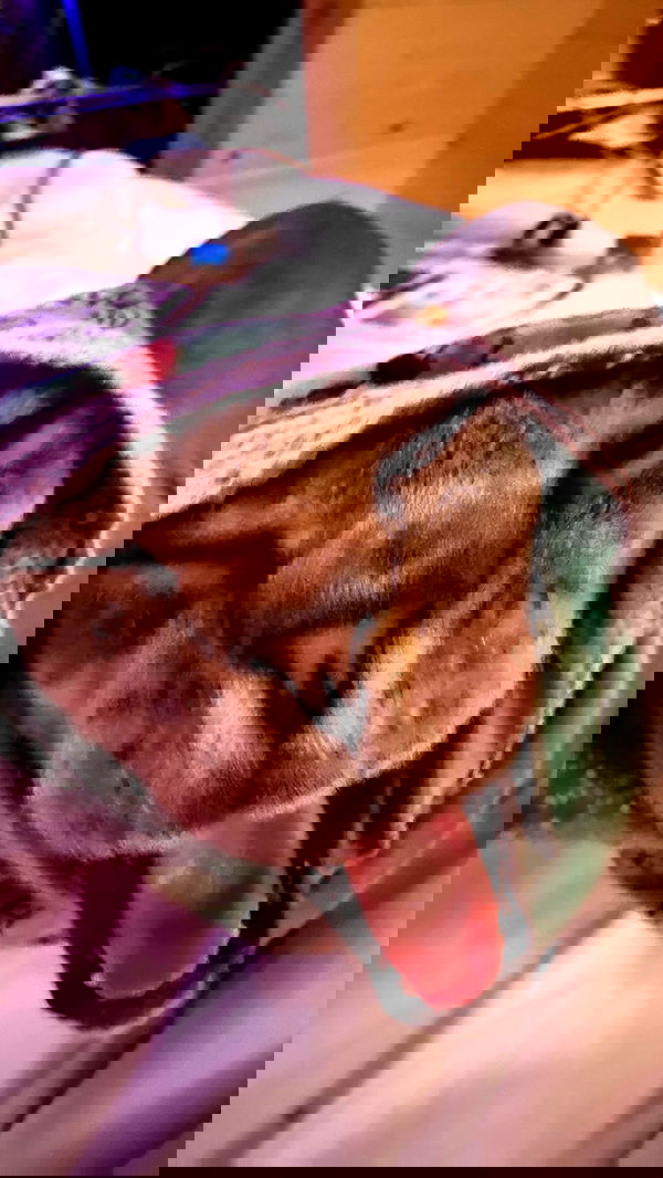 zommmbri zommmbri archive image