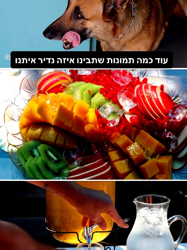yuval_raz instagram image archive image