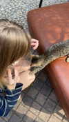dwpolin Altpins Profile Picture