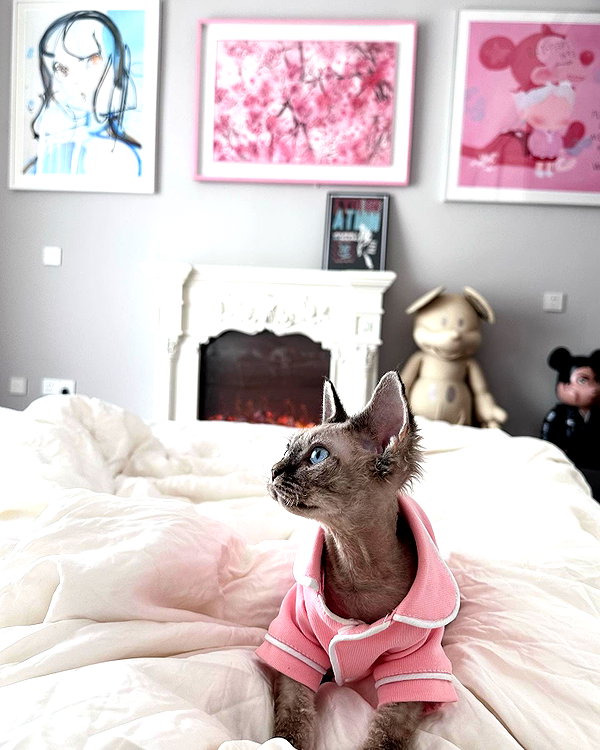 kelseydopegal instagram image archive image