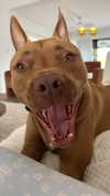olivia.mathers Altpins Profile Picture
