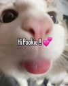 milkiwifey Altpins Profile Picture