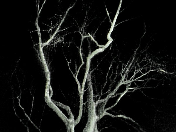 demonictii instagram image archive image