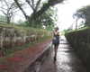 lolontlia Altpins Profile Picture