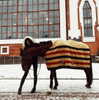 kafelnikova_a Altpins Profile Picture