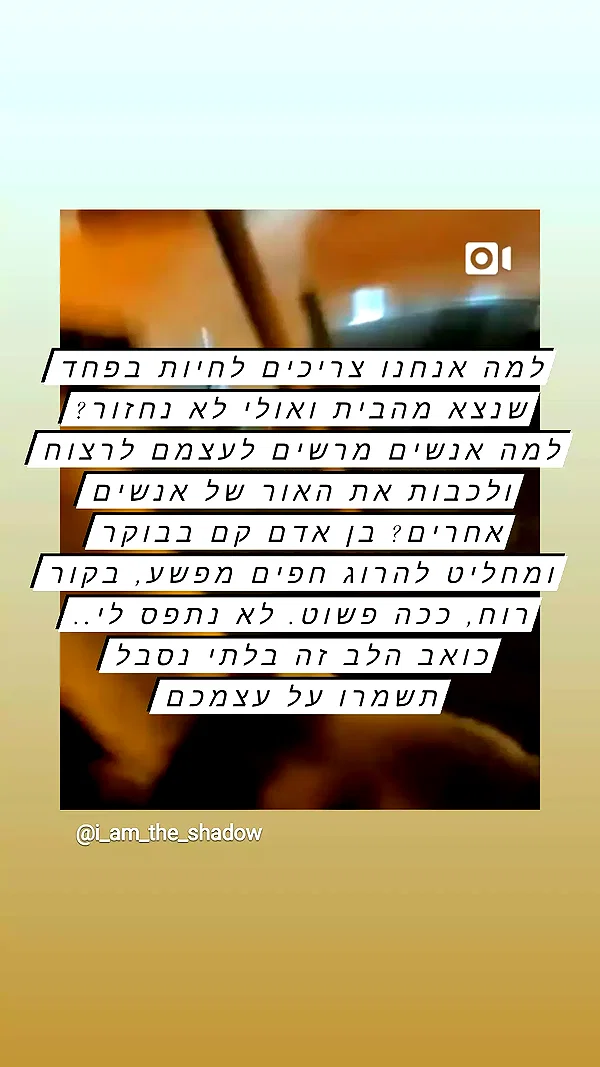 nikolpeleg instagram image archive image