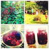 katehudson Altpins Profile Picture