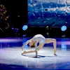 ellianawalmsley Altpins Profile Picture
