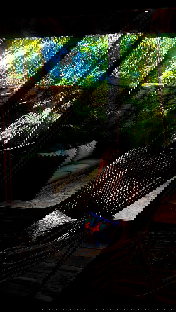 taylor.creeden taylor.creeden archive image