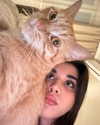 owlydiaa Altpins Profile Picture