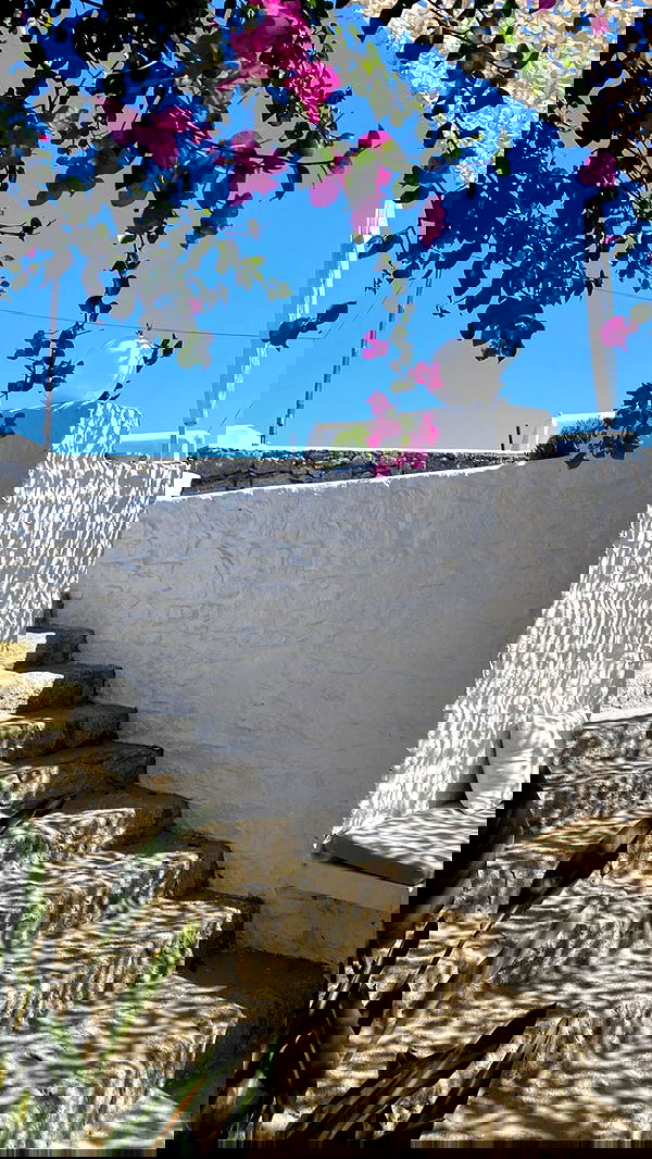 taylor.creeden taylor.creeden archive image