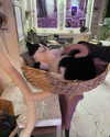 jahia_brown Altpins Profile Picture
