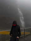 vollkova__ Altpins Profile Picture