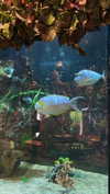 b6ylexx Altpins Profile Picture