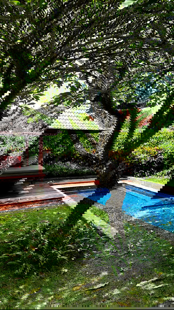 taylor.creeden taylor.creeden archive image