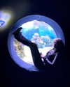 sp1der_eggs Altpins Profile Picture