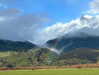 daisy_r_19 Altpins Profile Picture