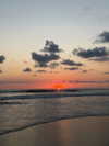 carolinezalog Altpins Profile Picture