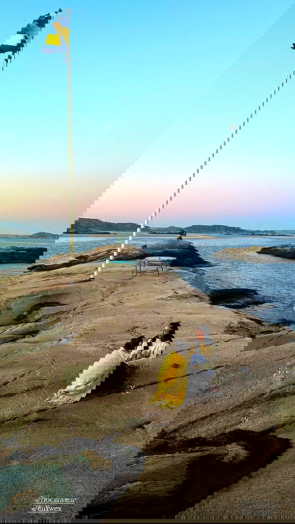 taylor.creeden taylor.creeden archive image