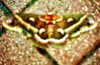 bugz4brainz Altpins Profile Picture