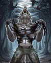 fallen.angel2007 Altpins Profile Picture