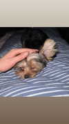 marilyn_damaged Altpins Profile Picture