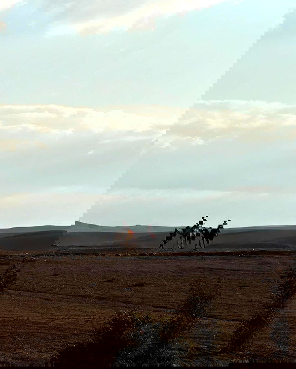 manjolamuriqi manjolamuriqi archive image