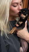 alexandramarianna Altpins Profile Picture