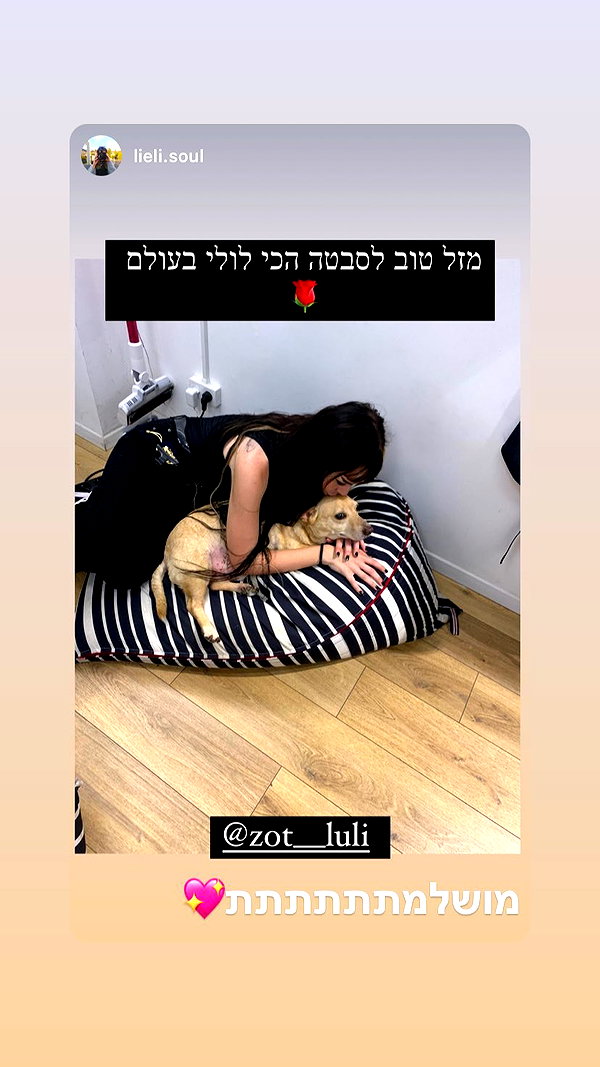 lior_levrun lior_levrun archive image