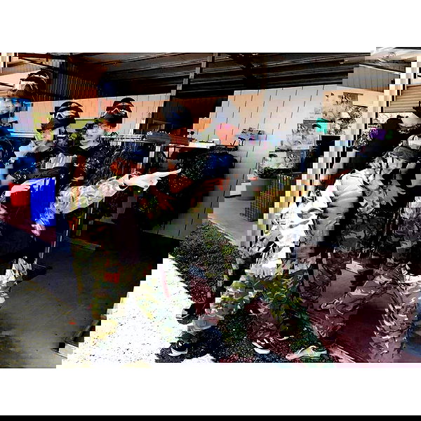 ting851204 ting851204 archive image