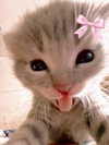 shakii.0509ll Altpins Profile Picture