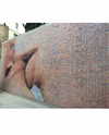 biohazard.g1rl Altpins Profile Picture