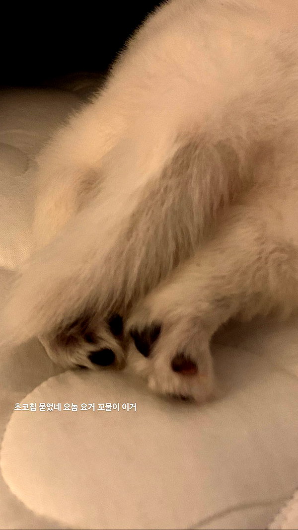 Archived image from @heroineseen on Instagram