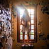 ellianawalmsley Altpins Profile Picture