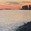 taratornquist Altpins Profile Picture