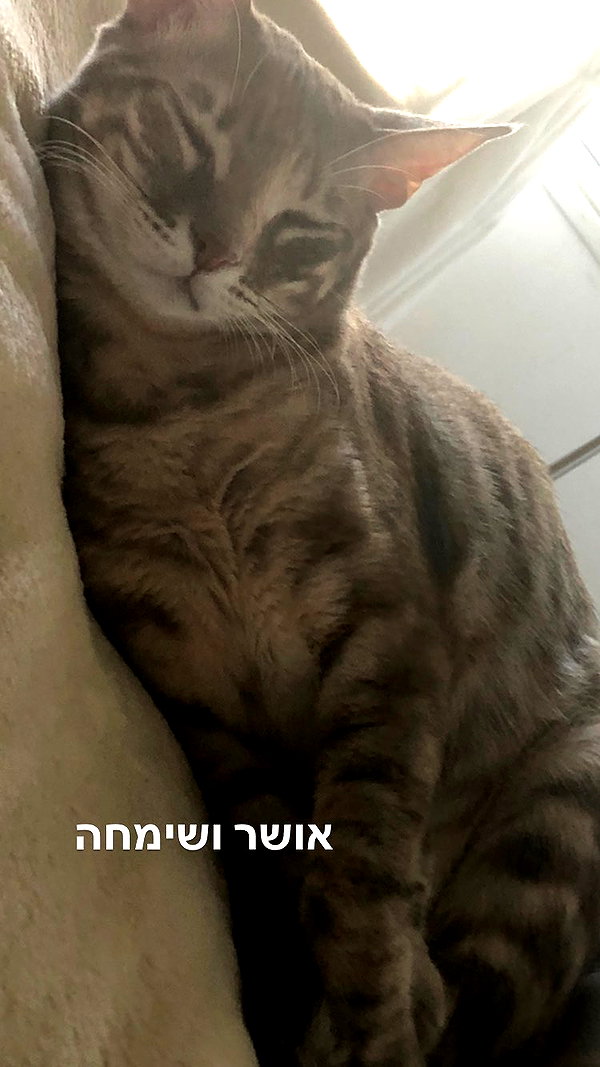 Archived image from @notchicore on Instagram