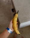 katiehamden_ Altpins Profile Picture