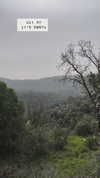 __yaheli_ Altpins Profile Picture