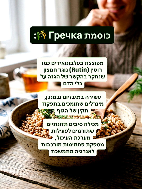 lital.oss instagram image archive image