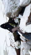 klywrxzzp Altpins Profile Picture